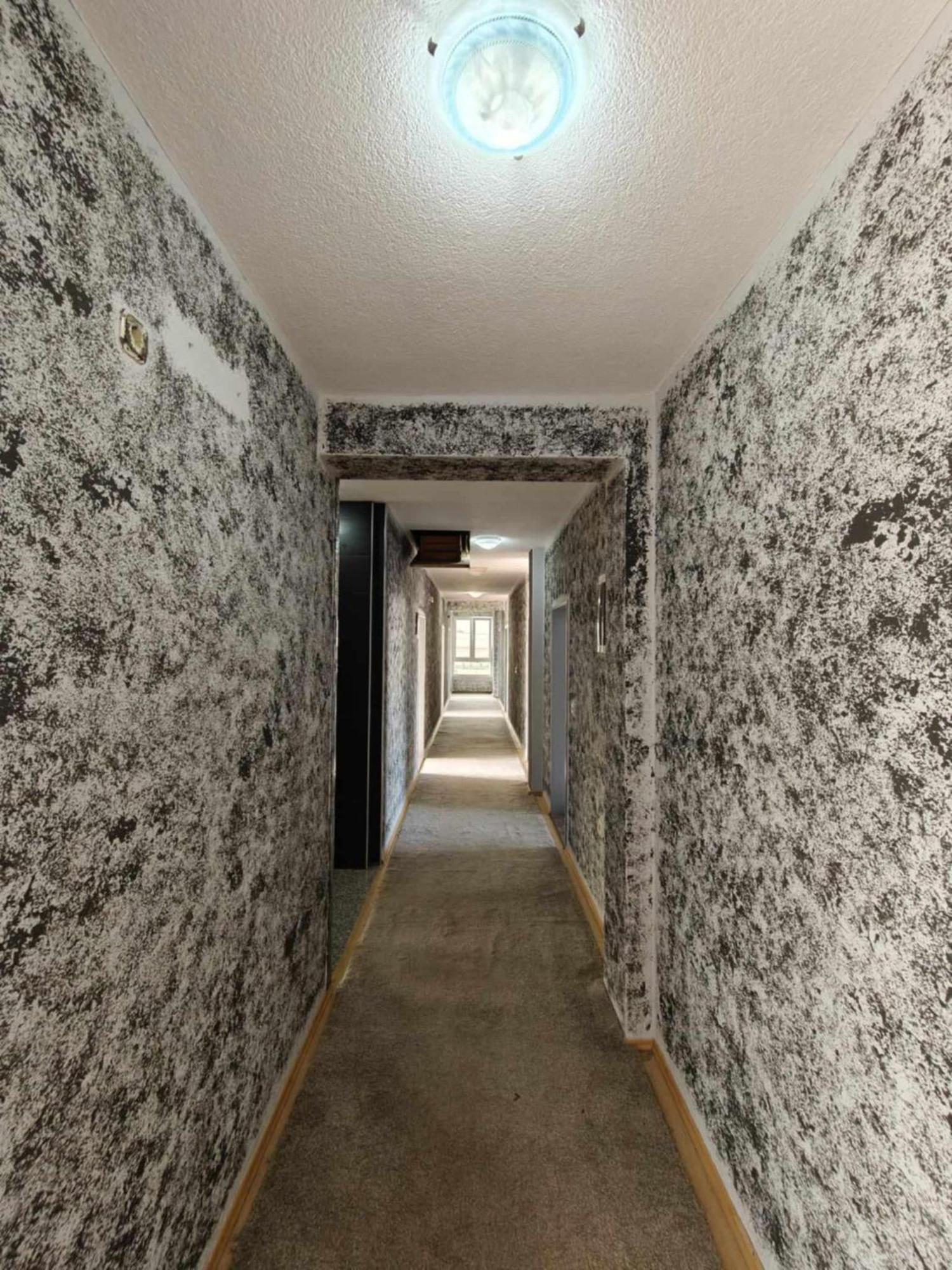 Hotel Ariston ストルガ エクステリア 写真